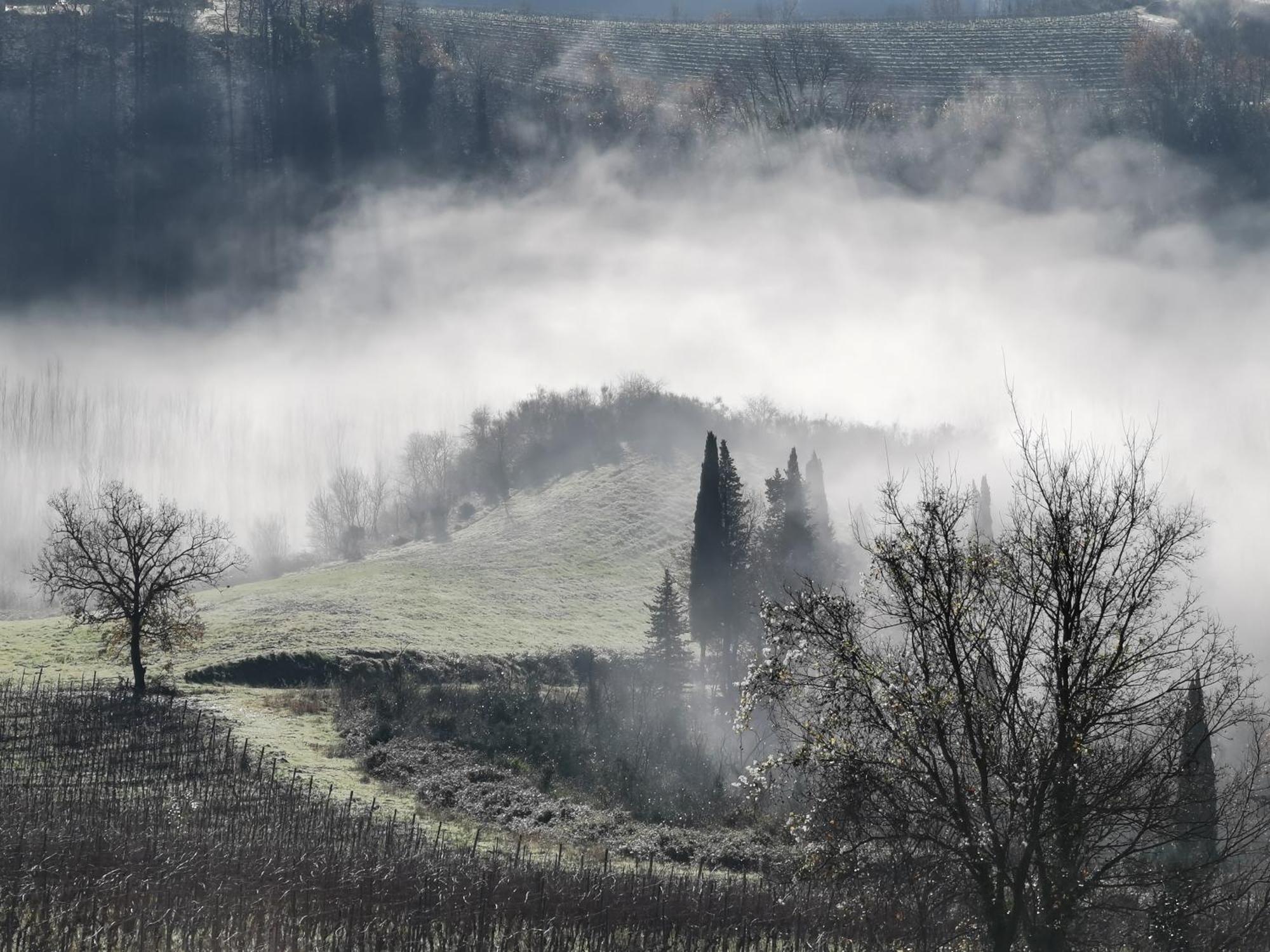 Agriturismo Bio Fattoria Bacio Certaldo Bagian luar foto